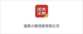 国美